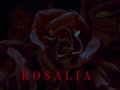 ROSALIA metal intro version